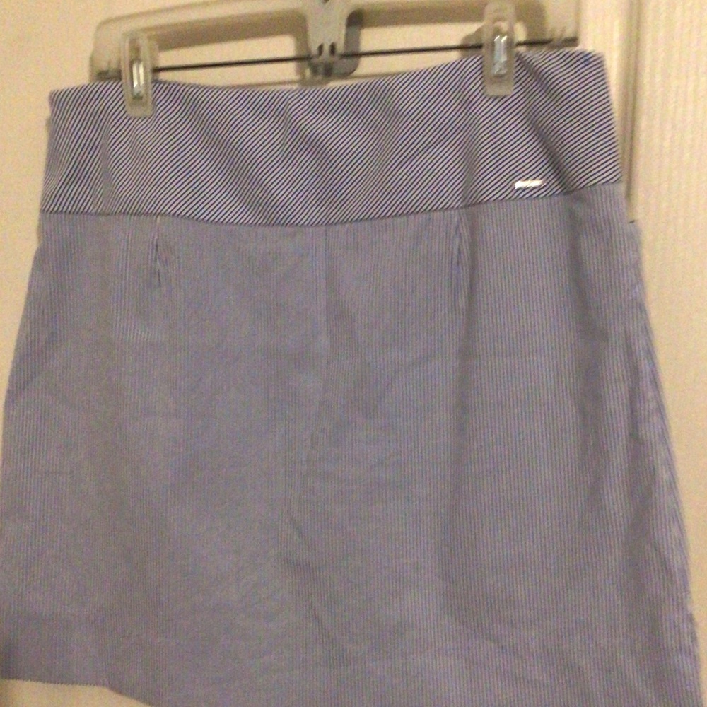 Blue And White Skort